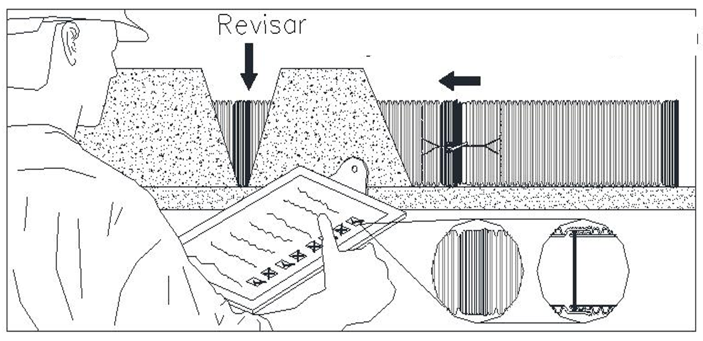 Leer Mas Curso B - B+Xpert®